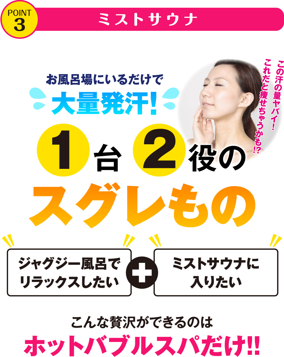 POINT3 ミストサウナ